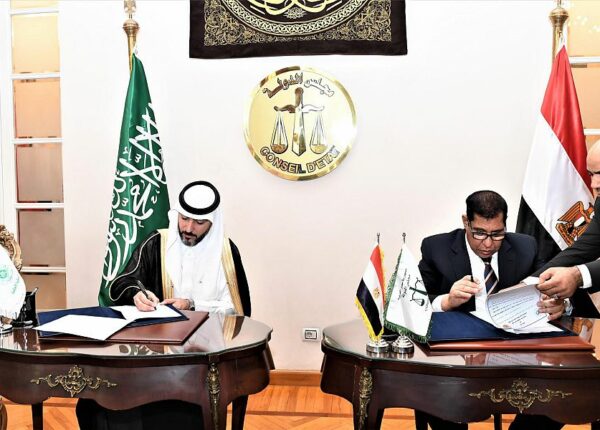 رئيس مجلس الدولة يستقبل وفدا سعوديا