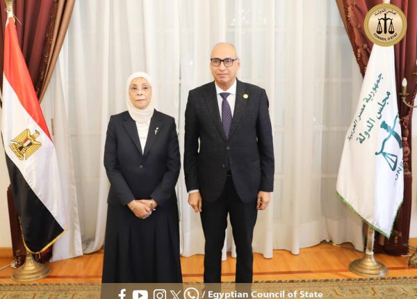 دزاين صور عرض copy